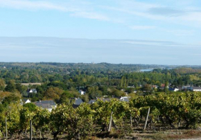 Clos sainte catherine, Rochefort-Sur-Loire